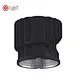 bridgelux led downlight